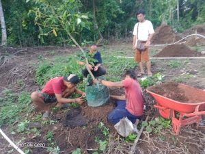 Tim menanam bibit